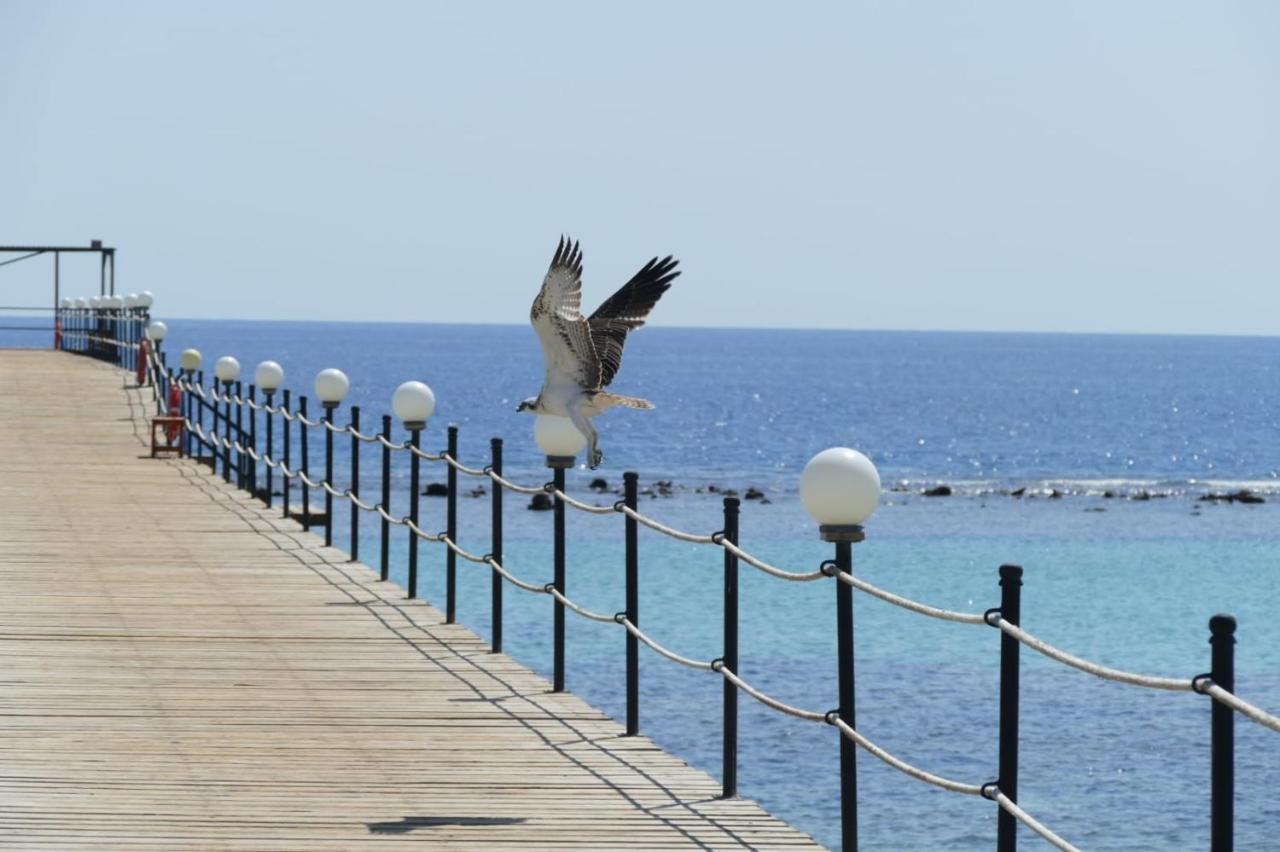 Wadi Lahmy Azur Resort - Soft All-Inclusive Abū Ghuşūn Exterior foto